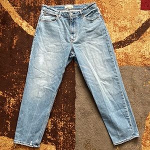 Abercrombie & Fitch Curve Love The Mom High Rise